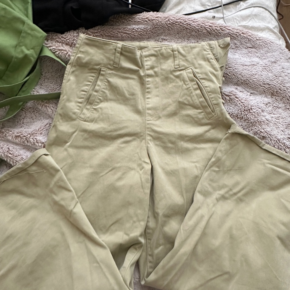 Zara pants